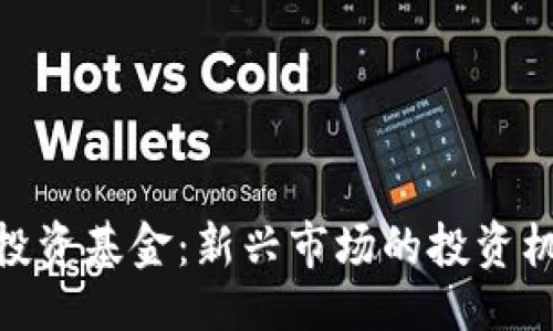 与关键词

数字货币投资基金：新兴市场的投资机会与风险