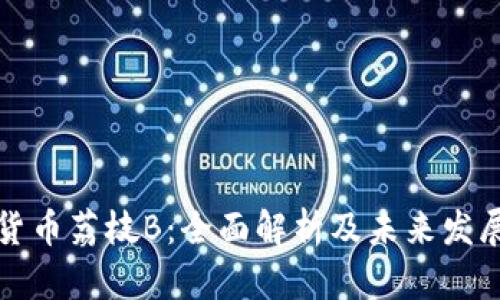 数字货币荔枝B：全面解析及未来发展展望