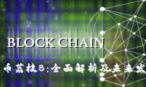 数字货币荔枝B：全面解析及未来发展展望