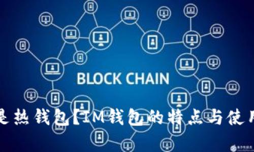 什么是热钱包？IM钱包的特点与使用解析