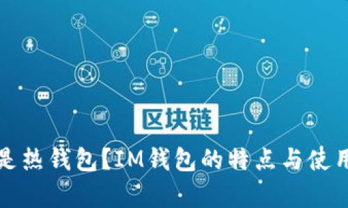什么是热钱包？IM钱包的特点与使用解析