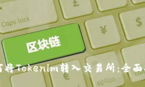 如何将Tokenim转入交易所：全面指南