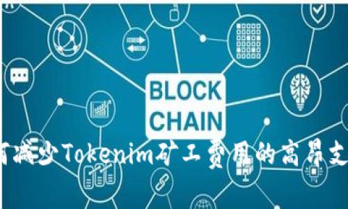 如何减少Tokenim矿工费用的高昂支出？