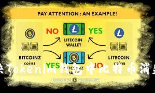 如何解决Tokenim钱包中比特币消失的问题