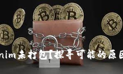 为什么Tokenim未打包？探寻可能的原因与解决方案