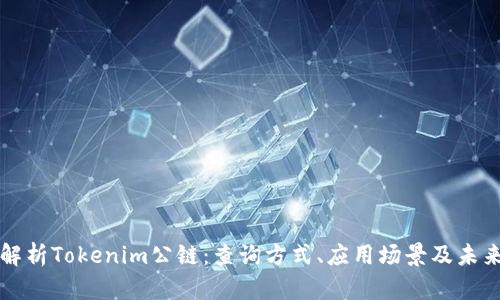 全面解析Tokenim公链：查询方式、应用场景及未来展望