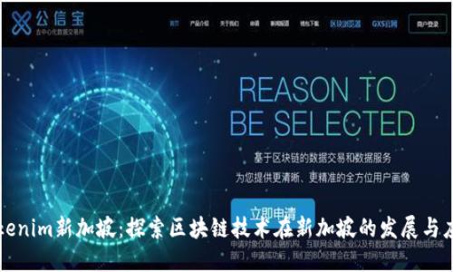 Tokenim新加坡：探索区块链技术在新加坡的发展与应用