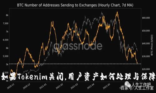 如果Tokenim关闭，用户资产如何处理与保障