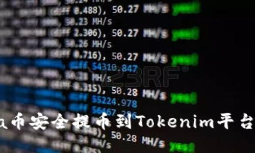 如何将Luba币安全提币到Tokenim平台的详细指南
