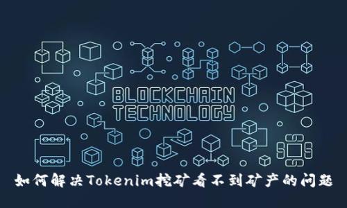 如何解决Tokenim挖矿看不到矿产的问题