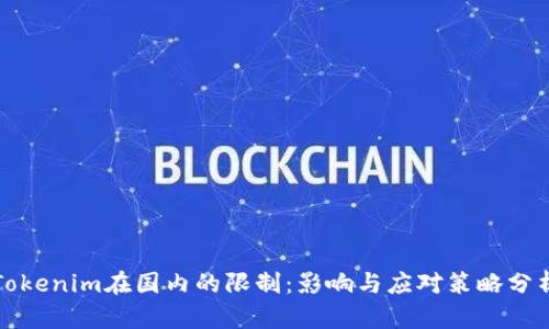 Tokenim在国内的限制：影响与应对策略分析