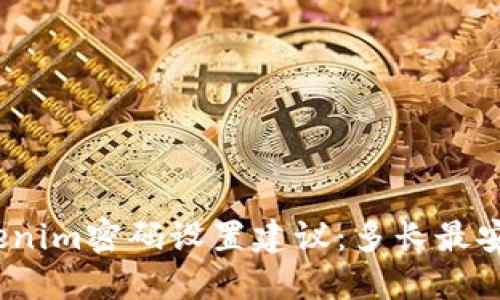 Tokenim密码设置建议：多长最安全？