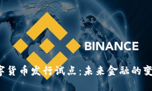  央行数字货币发行试点：未来金融的变革与展望