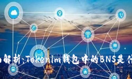 全面解析：Tokenim钱包中的BNS是什么？