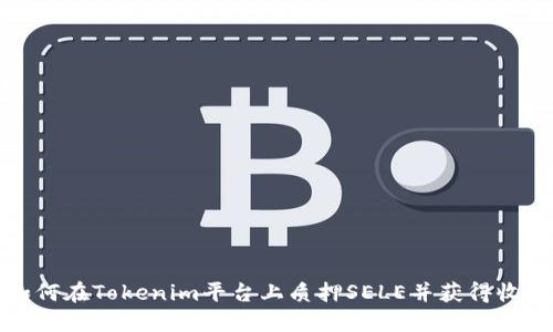 如何在Tokenim平台上质押SELE并获得收益