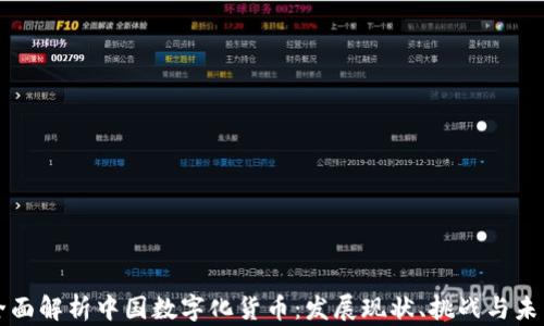 
全面解析中国数字化货币：发展现状、挑战与未来