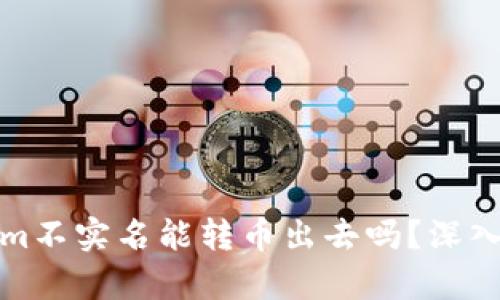 数字钱包Tokenim不实名能转币出去吗？深入解析与用户指南