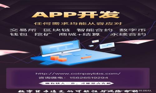 
数字货币透支的可能性与风险分析