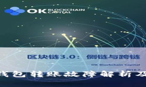 Tokenim钱包转账故障解析及解决方案