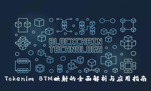 Tokenim BTM映射的全面解析与应用指南