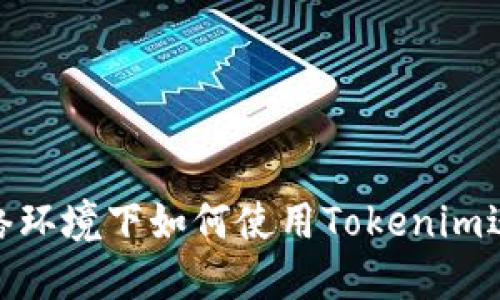 在无网络环境下如何使用Tokenim进行转账