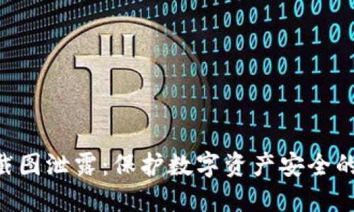 Tokenim转账截图泄露：保护数字资产安全的十个关键措施