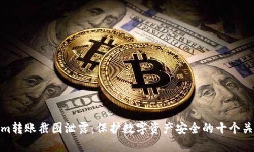 Tokenim转账截图泄露：保护数字资产安全的十个关键措施