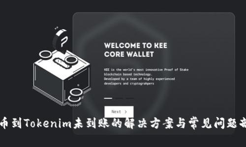 转币到Tokenim未到账的解决方案与常见问题剖析