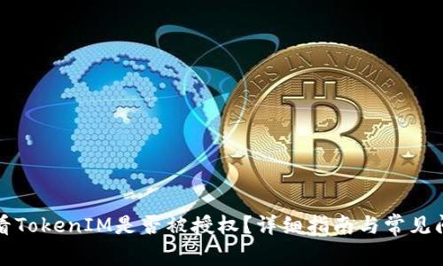 如何查看TokenIM是否被授权？详细指南与常见问题解析