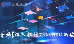 TokenIM授权安全吗？深入探讨TokenIM的安全性及最佳