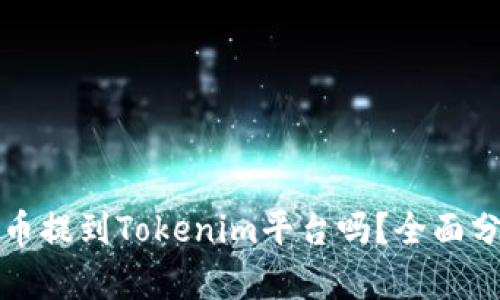 有必要将币提到Tokenim平台吗？全面分析与建议