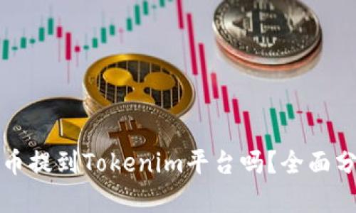 有必要将币提到Tokenim平台吗？全面分析与建议