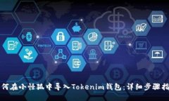 如何在小怪狐中导入Tokenim钱包：详细步骤指南