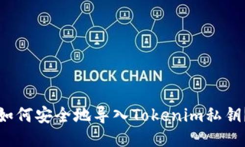 如何安全地导入Tokenim私钥？