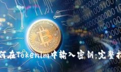 如何在Tokenim中输入密钥：