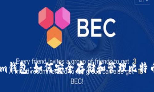 Tokenim钱包：如何安全存储和管理比特币（BTC）