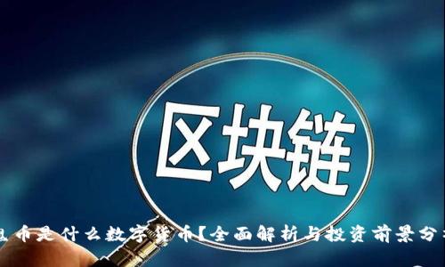 鬼币是什么数字货币？全面解析与投资前景分析