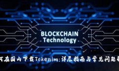 如何在国内下载Tokenim：详