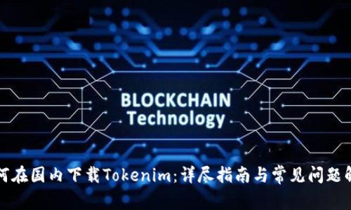 如何在国内下载Tokenim：详尽指南与常见问题解答
