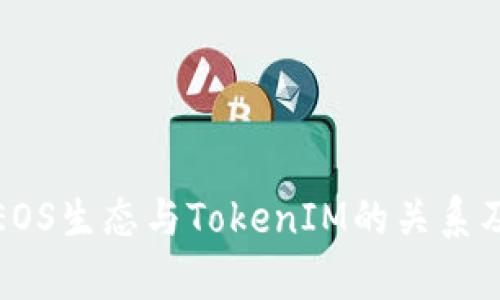 全面解析EOS生态与TokenIM的关系及发展前景