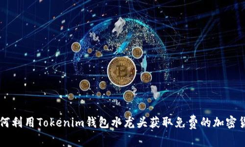 如何利用Tokenim钱包水龙头获取免费的加密货币