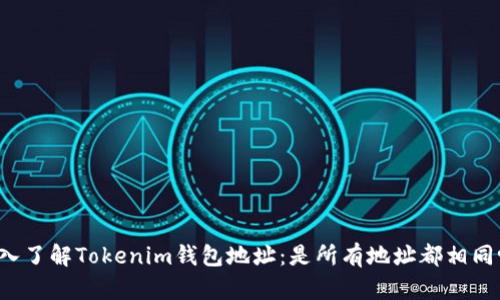 深入了解Tokenim钱包地址：是所有地址都相同吗？