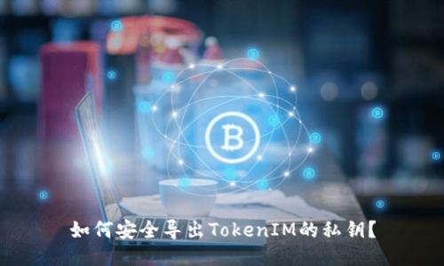 如何安全导出TokenIM的私钥？