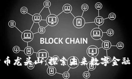 数字货币龙头山：探索未来数字金融的高峰