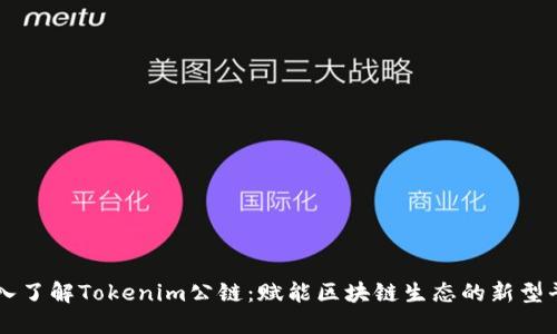 深入了解Tokenim公链：赋能区块链生态的新型平台