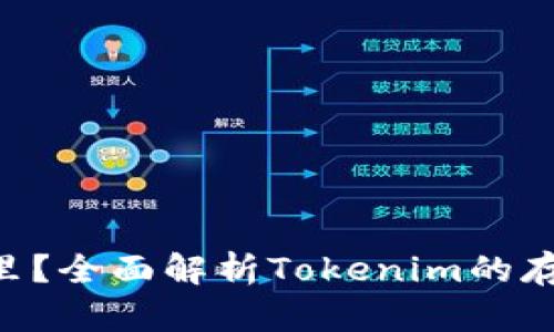 Tokenim存在哪里？全面解析Tokenim的存储方式与安全性