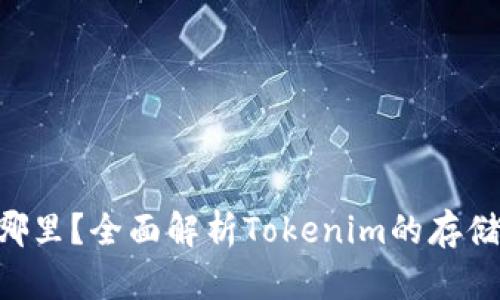 Tokenim存在哪里？全面解析Tokenim的存储方式与安全性