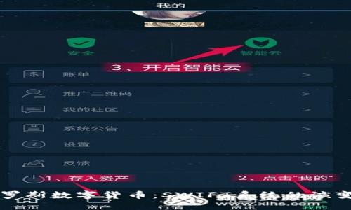 深入探索俄罗斯数字货币：SWIFT系统的演变与未来展望
