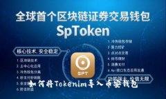 如何将Tokenim导入币安钱包