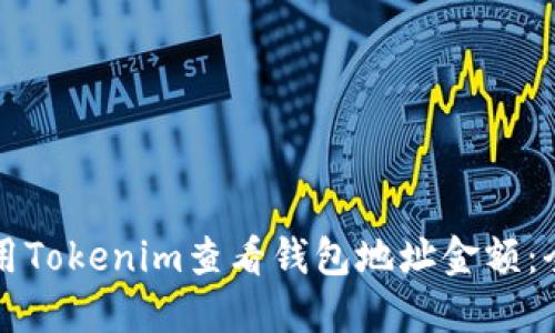如何使用Tokenim查看钱包地址金额：全面指南